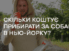 Скільки коштує прибирати за собаками в Нью-Йорку? «Особливості національної роботи»
