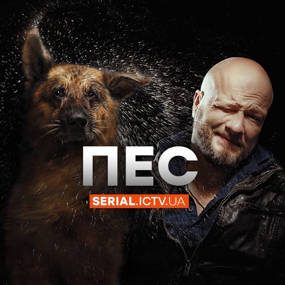 Кино Новогодний Пес