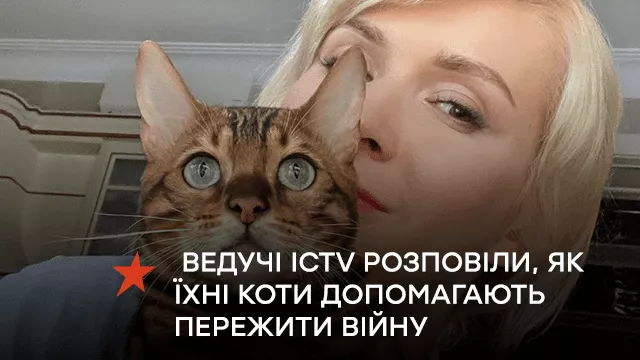 «Наш власний «сигнал тривоги»: ведучі ICTV розповіли, як їхні коти допомагають пережити війну