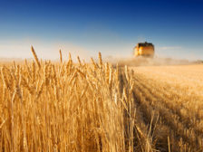 Земельная реформа в Украине