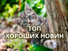 хороші новини фото