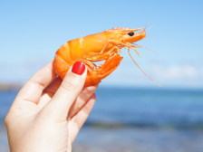 морепродукти фото